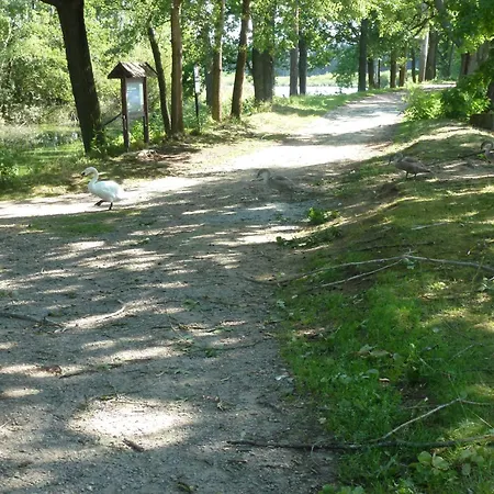 Lochneska U Vlkovskych Piskoven Vlkov (Tabor)