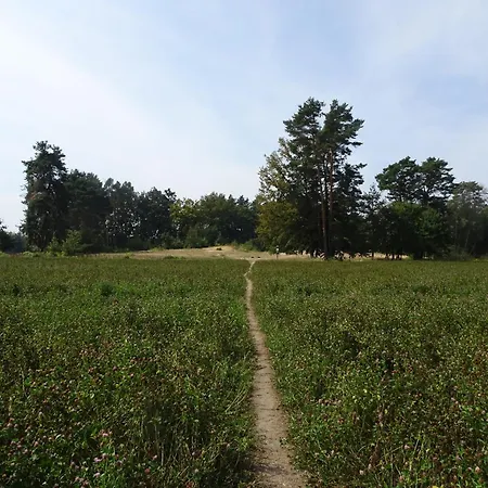 Parque de Campismo Lochneska U Vlkovských Pískoven *