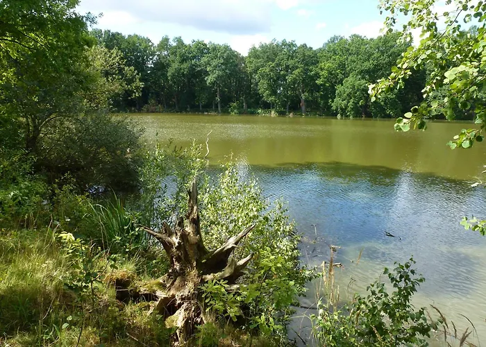 Campeggio Lochneska U Vlkovskych Piskoven *