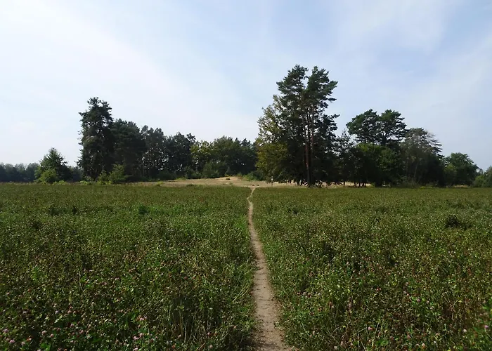 Campeggio Lochneska U Vlkovskych Piskoven *